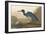 Blue Crane-James Audubon-Framed Giclee Print