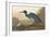 Blue Crane-James Audubon-Framed Giclee Print