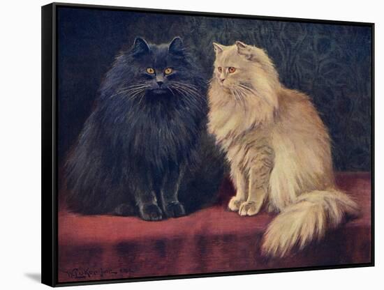 Blue, Cream Persian Cats-W. Luker-Framed Stretched Canvas