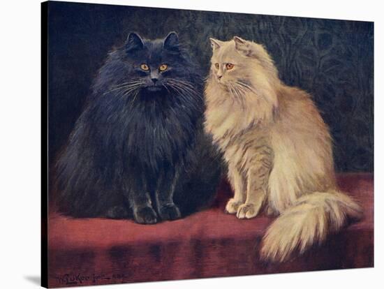 Blue, Cream Persian Cats-W. Luker-Stretched Canvas