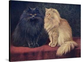 Blue, Cream Persian Cats-W. Luker-Stretched Canvas