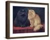 Blue, Cream Persian Cats-W. Luker-Framed Art Print