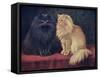 Blue, Cream Persian Cats-W. Luker-Framed Stretched Canvas