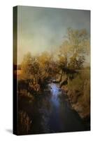 Blue Creek in Autumn-Jai Johnson-Stretched Canvas