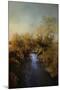 Blue Creek in Autumn-Jai Johnson-Mounted Giclee Print