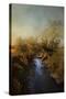 Blue Creek in Autumn-Jai Johnson-Stretched Canvas