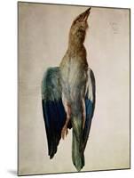 Blue Crow, 1512-Albrecht Dürer-Mounted Giclee Print