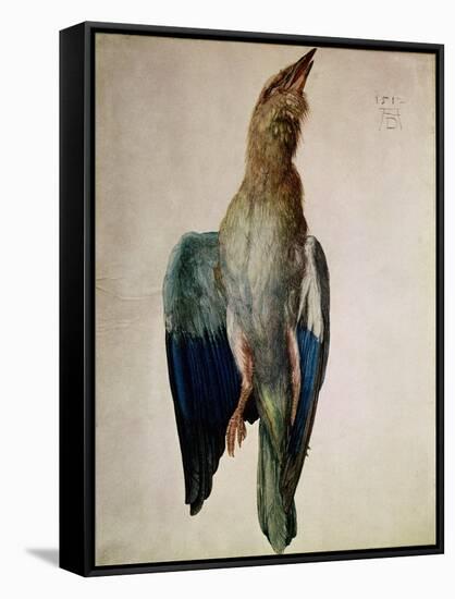Blue Crow, 1512-Albrecht Dürer-Framed Stretched Canvas