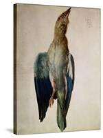 Blue Crow, 1512-Albrecht Dürer-Stretched Canvas