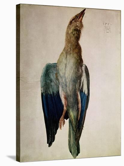 Blue Crow, 1512-Albrecht Dürer-Stretched Canvas