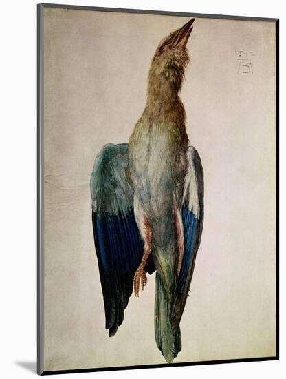 Blue Crow, 1512-Albrecht Dürer-Mounted Giclee Print