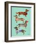 Blue Dachshunds-Cat Coquillette-Framed Premium Giclee Print