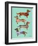 Blue Dachshunds-Cat Coquillette-Framed Premium Giclee Print