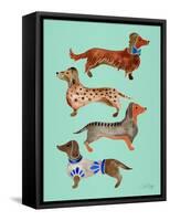 Blue Dachshunds-Cat Coquillette-Framed Stretched Canvas