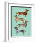 Blue Dachshunds-Cat Coquillette-Framed Art Print