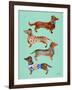 Blue Dachshunds-Cat Coquillette-Framed Art Print