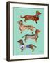 Blue Dachshunds-Cat Coquillette-Framed Art Print