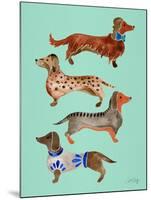 Blue Dachshunds-Cat Coquillette-Mounted Art Print