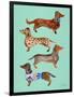 Blue Dachshunds-Cat Coquillette-Framed Art Print