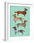 Blue Dachshunds-Cat Coquillette-Framed Art Print