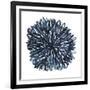 Blue Dahlia-Kiana Mosley-Framed Art Print