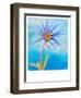 Blue Daisy, 2015-Alex Williams-Framed Giclee Print