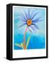 Blue Daisy, 2015-Alex Williams-Framed Stretched Canvas