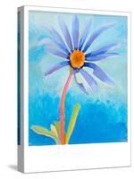 Blue Daisy, 2015-Alex Williams-Stretched Canvas