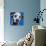 Blue Dalmation-R Berghaus-Art Print displayed on a wall