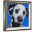 Blue Dalmation-R Berghaus-Framed Art Print