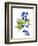 Blue Delphinium-Judy Stalus-Framed Premium Giclee Print