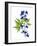 Blue Delphinium-Judy Stalus-Framed Art Print