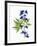 Blue Delphinium-Judy Stalus-Framed Art Print