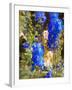 Blue Delphiniums, 2019,-Helen White-Framed Giclee Print