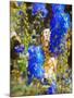 Blue Delphiniums, 2019,-Helen White-Mounted Giclee Print