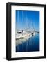 Blue Denia Marina Port in Alicante Spain-LUNAMARINA-Framed Photographic Print