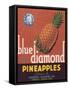 Blue Diamond Pineapple Label - Corozal, PR-Lantern Press-Framed Stretched Canvas