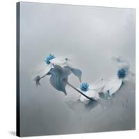 Blue Dogwood-Jai Johnson-Stretched Canvas