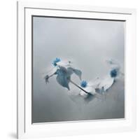 Blue Dogwood-Jai Johnson-Framed Giclee Print