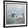 Blue Dogwood-Jai Johnson-Framed Giclee Print