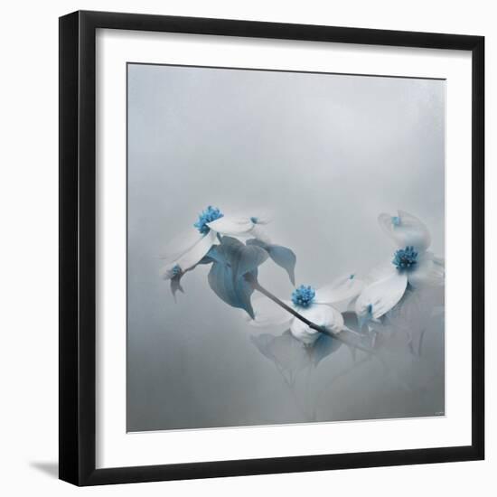 Blue Dogwood-Jai Johnson-Framed Giclee Print