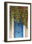 Blue Doorway with Grape Vines (Vitis) Puyloubier, Var, Provence, France, October 2012-David Noton-Framed Photographic Print