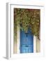 Blue Doorway with Grape Vines (Vitis) Puyloubier, Var, Provence, France, October 2012-David Noton-Framed Photographic Print