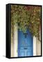 Blue Doorway with Grape Vines (Vitis) Puyloubier, Var, Provence, France, October 2012-David Noton-Framed Stretched Canvas