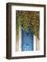 Blue Doorway with Grape Vines (Vitis) Puyloubier, Var, Provence, France, October 2012-David Noton-Framed Photographic Print