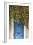 Blue Doorway with Grape Vines (Vitis) Puyloubier, Var, Provence, France, October 2012-David Noton-Framed Photographic Print