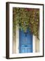 Blue Doorway with Grape Vines (Vitis) Puyloubier, Var, Provence, France, October 2012-David Noton-Framed Photographic Print