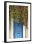 Blue Doorway with Grape Vines (Vitis) Puyloubier, Var, Provence, France, October 2012-David Noton-Framed Photographic Print