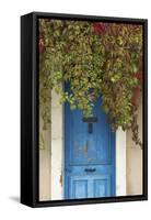 Blue Doorway with Grape Vines (Vitis) Puyloubier, Var, Provence, France, October 2012-David Noton-Framed Stretched Canvas