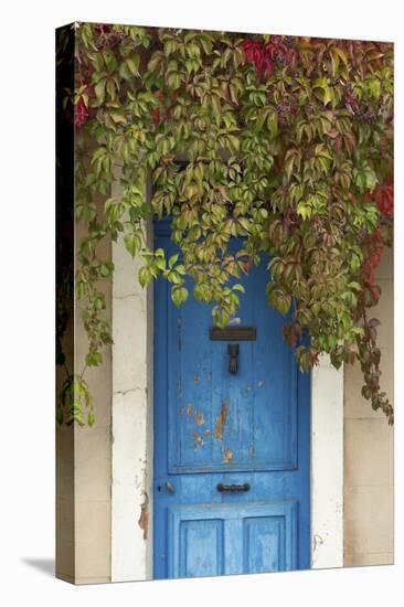 Blue Doorway with Grape Vines (Vitis) Puyloubier, Var, Provence, France, October 2012-David Noton-Stretched Canvas